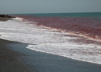 War in Iran sees 2Africa’s Pearls extension paused