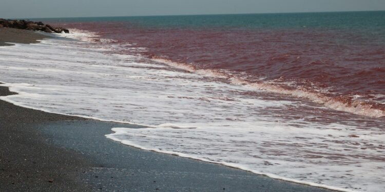 War in Iran sees 2Africa’s Pearls extension paused