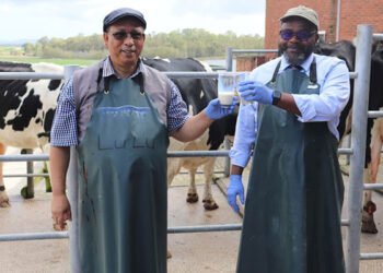 Western Cape boosts agriculture budget to R1,14 billion for 2026/2027