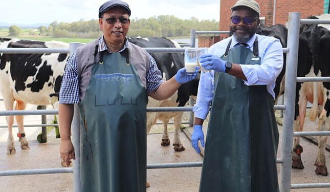 Western Cape boosts agriculture budget to R1,14 billion for 2026/2027