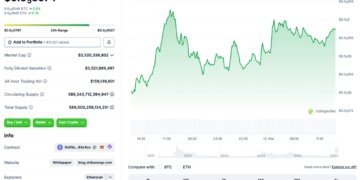 Will SHIB Follow The Rally?