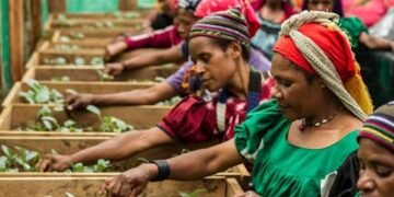 Women, girls in Africa paying the price for rising debt, fossil fuel extraction, climate change – Report – EnviroNews