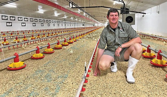Young farmer proves broiler margins are made in the management