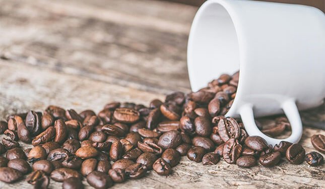 from everyday brew to artisan craft