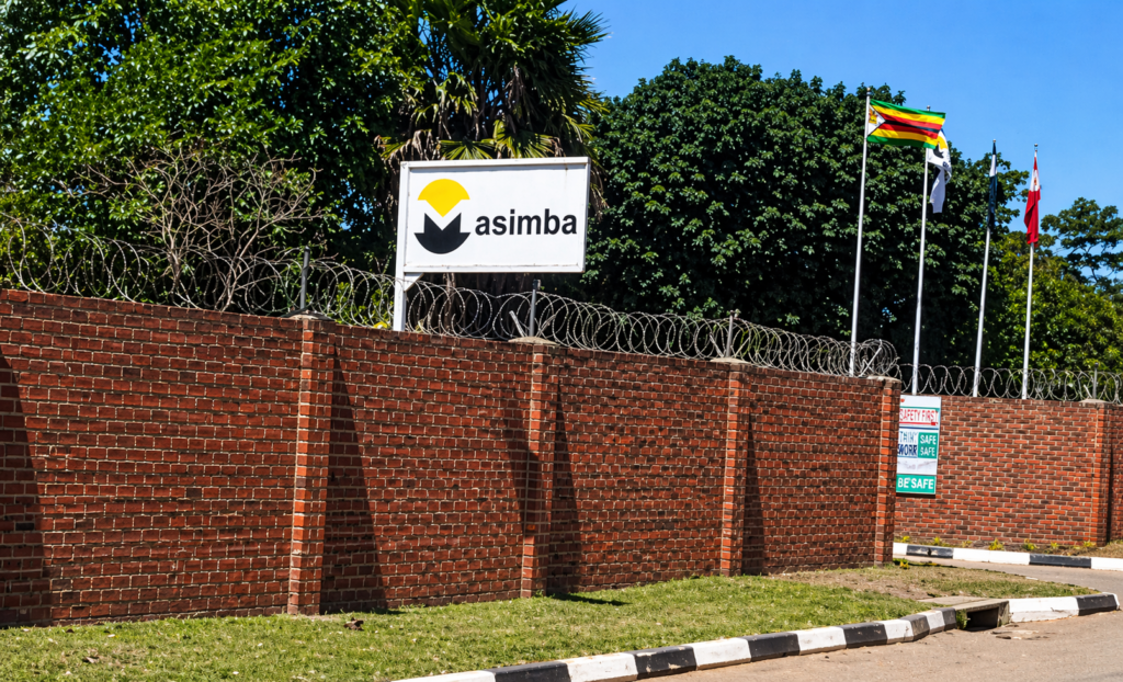 Masimba Holdings Revenue Rises 9.6% to ZWG 1.6 Billion as Mining-Linked Projects Drive Private Sector Growth