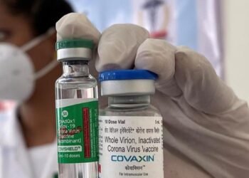 Who Profits from African DNA? The Economics of Global Biotech Partnerships and the Next Data War