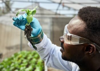 Africa’s Biotech Awakening: Emerging Innovation in Health, Agriculture, and Manufacturing Remains Early-Stage