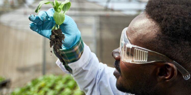 Africa’s Biotech Awakening: Emerging Innovation in Health, Agriculture, and Manufacturing Remains Early-Stage