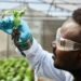 Africa’s Biotech Awakening: Emerging Innovation in Health, Agriculture, and Manufacturing Remains Early-Stage