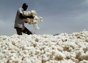 From Cotton to Catwalk: How Afreximbank Is Financing Africa’s Fashion Supply Chain Revolution